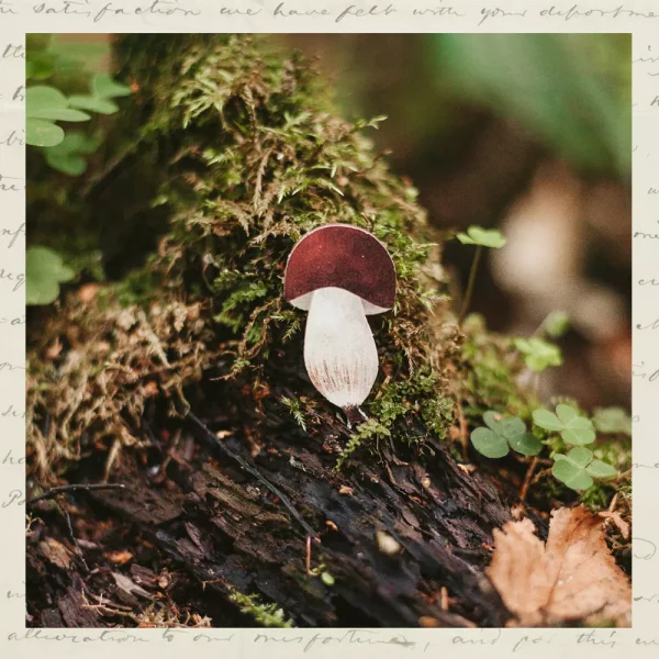 Белый грибочек-03 Брошка "Белый гриб"