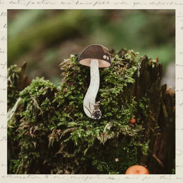 Подберёзовик-03 Брошка "Подберезовик"