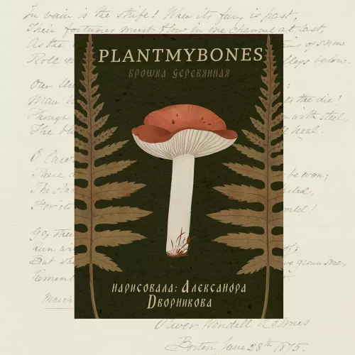 Брошка "Сыроежка"