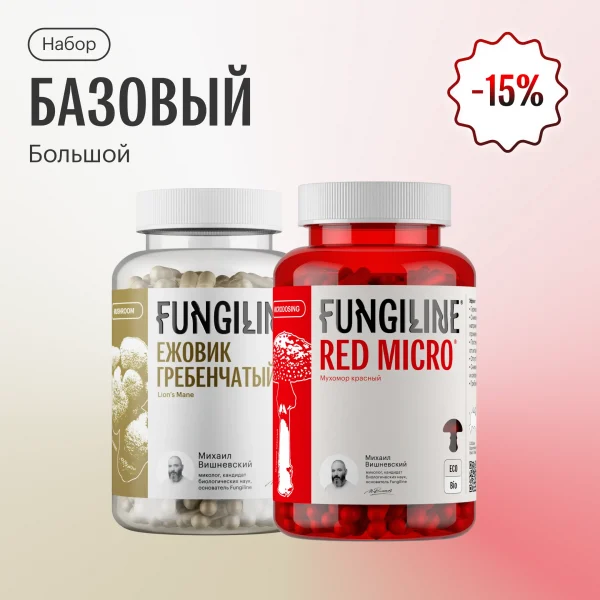 Набор базовый большой