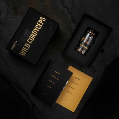 Wild Cordyceps • 10 г • Премиальная линейка